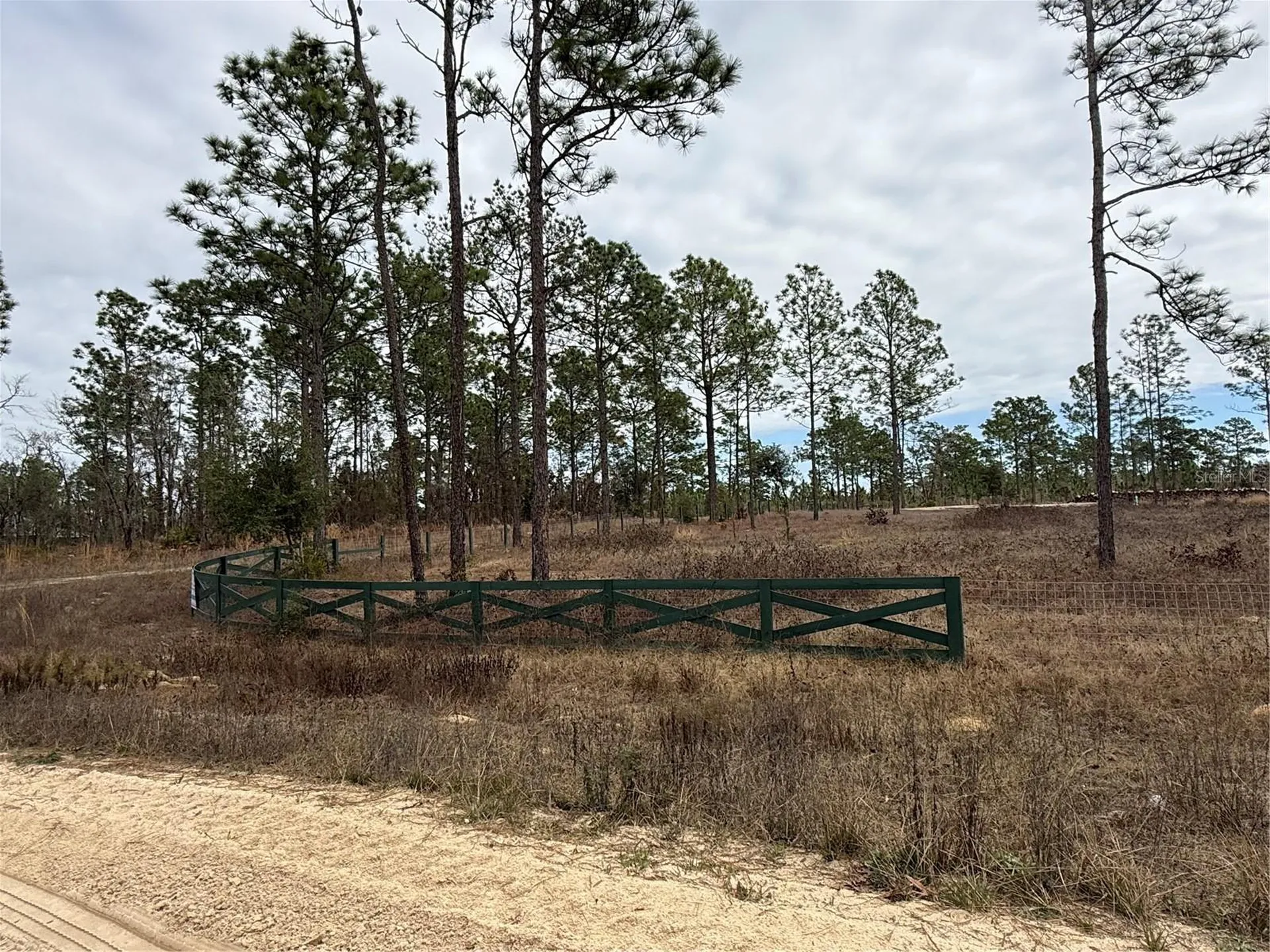 Tbd SW 121st Terrace Dunnellon FL 34432