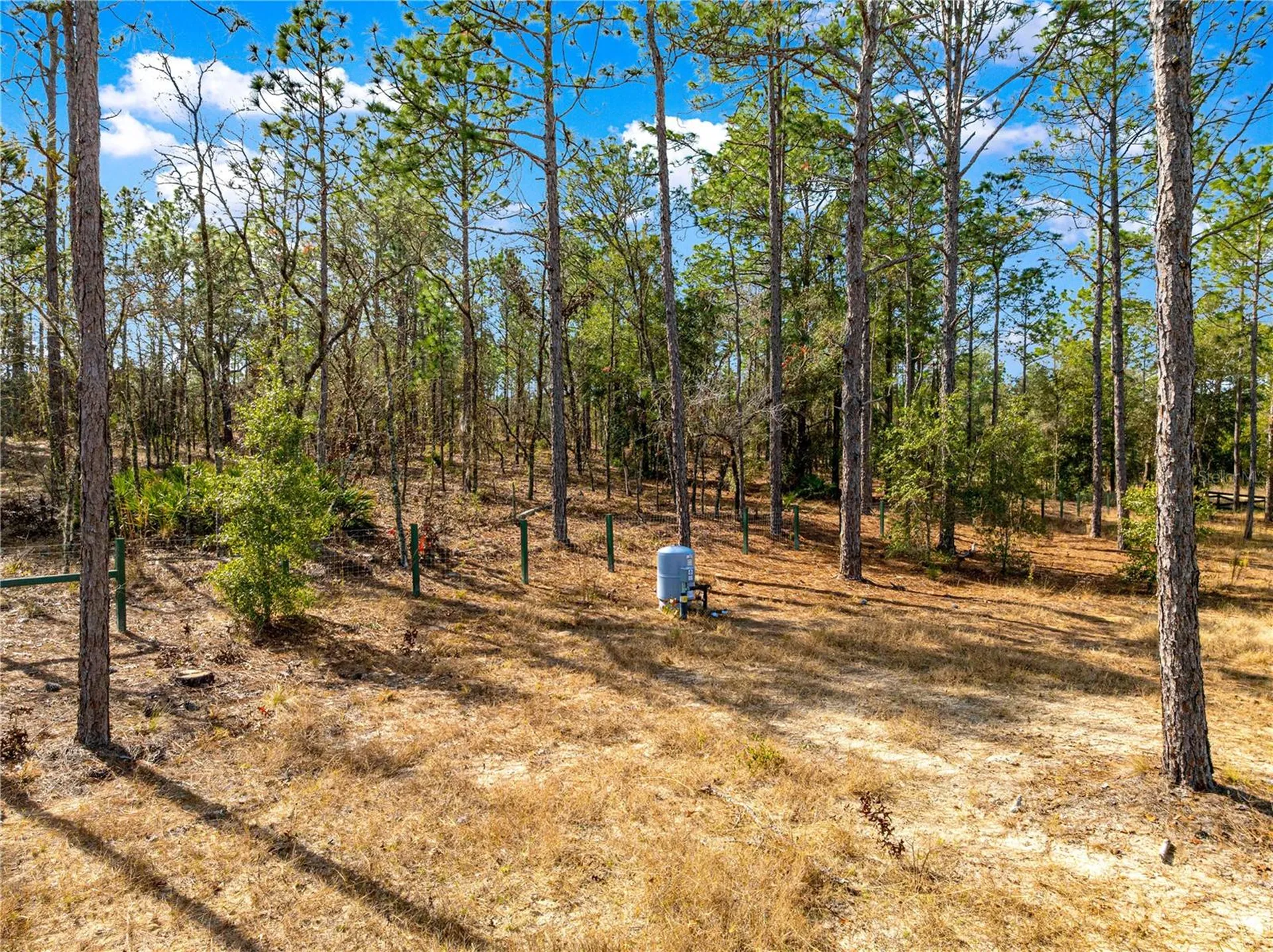 Tbd SW 121st Terrace Dunnellon FL 34432