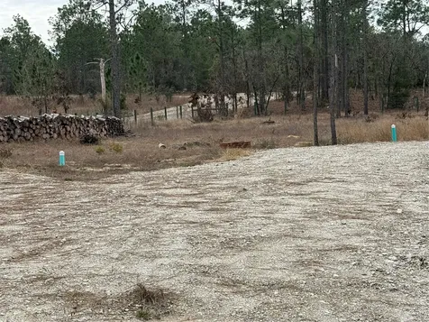 Tbd SW 121st Terrace Dunnellon FL 34432