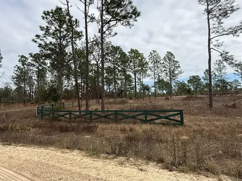 Tbd SW 121st Terrace Dunnellon FL 34432