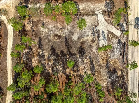 Tbd SW 121st Terrace Dunnellon FL 34432