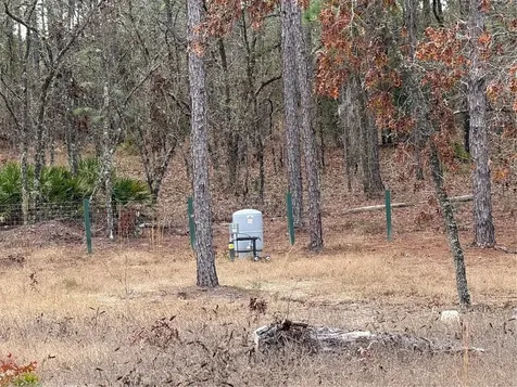 Tbd SW 121st Terrace Dunnellon FL 34432