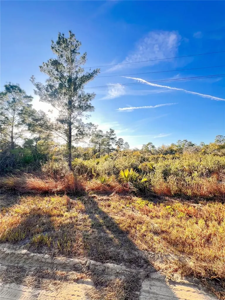 110 Dartmoor Avenue Lake Placid FL 33852
