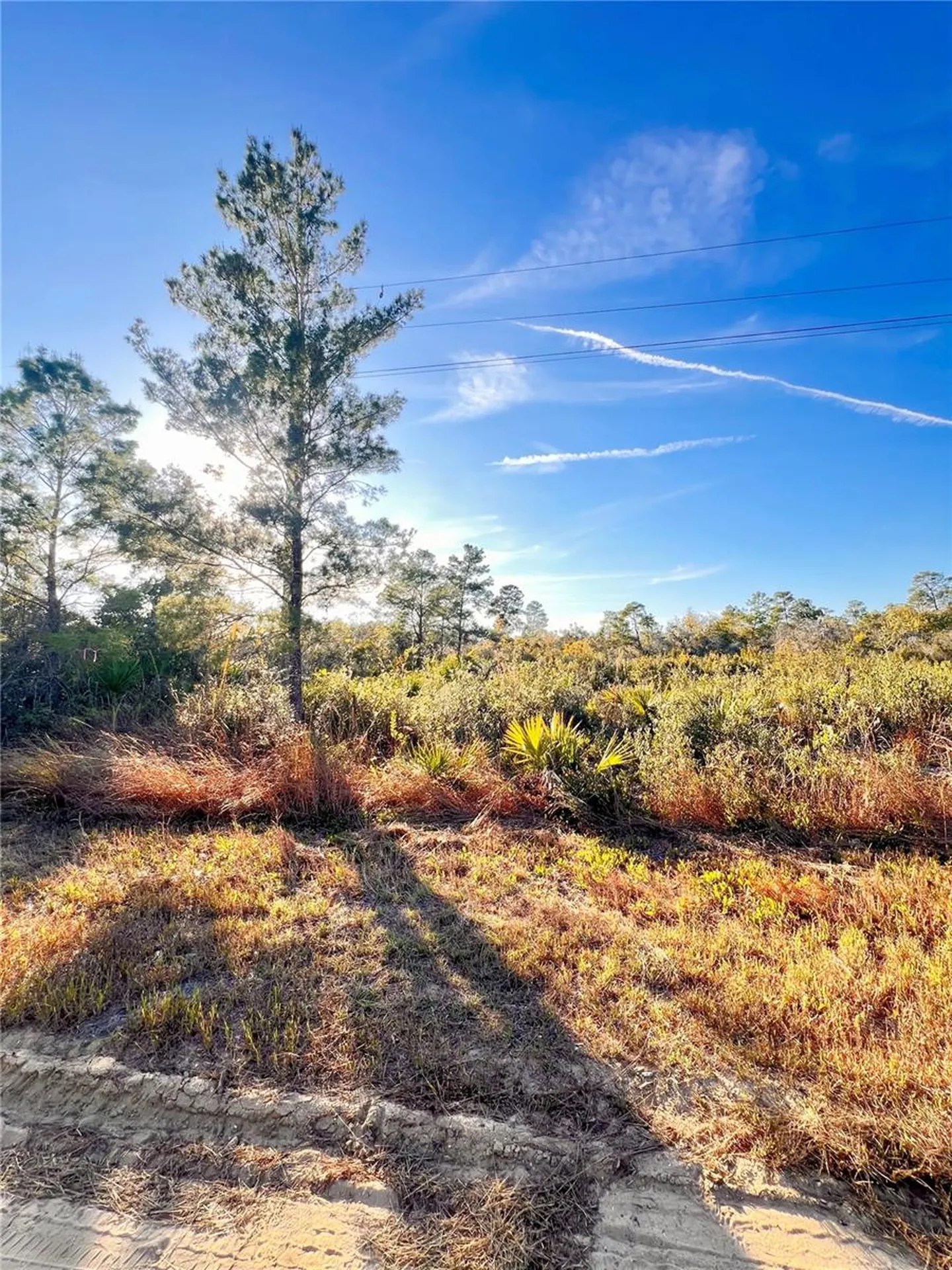110 Dartmoor Avenue Lake Placid FL 33852