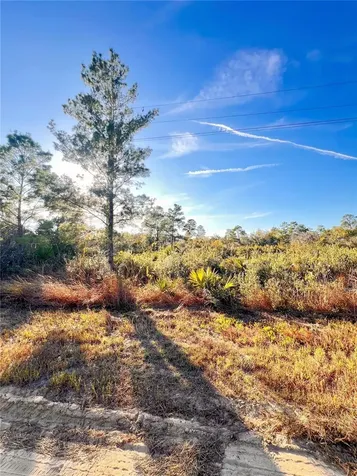 110 Dartmoor Avenue Lake Placid FL 33852