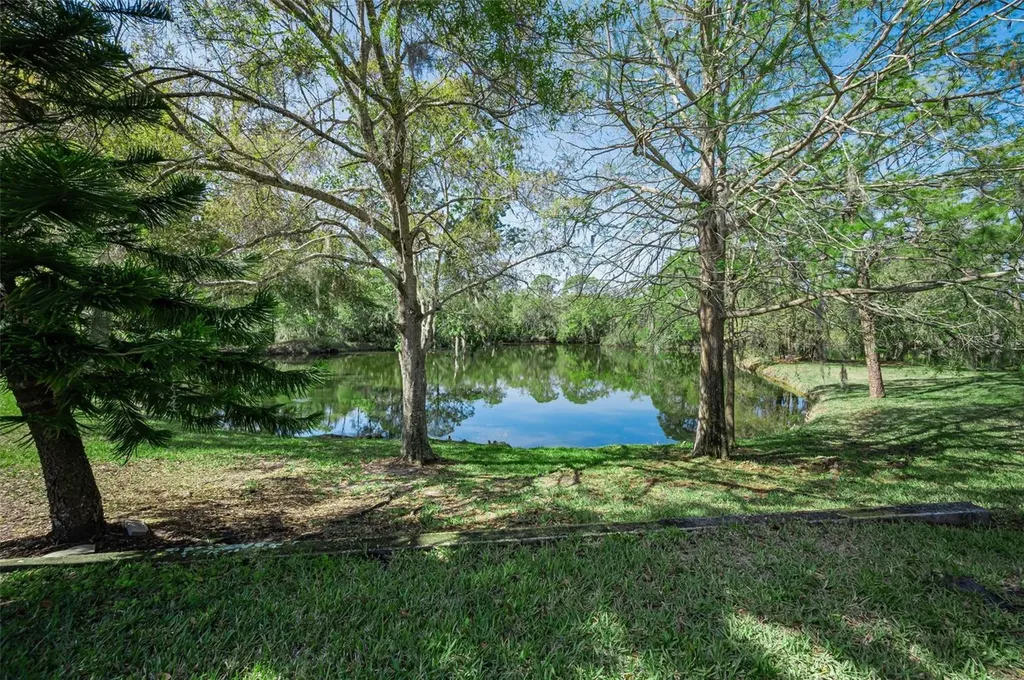 4738 Pebble Brook Drive Oldsmar FL 34677