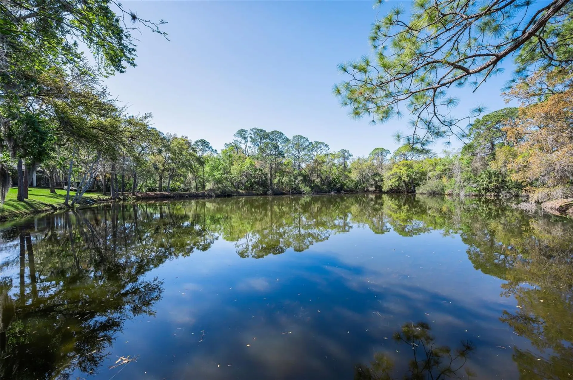 4738 Pebble Brook Drive Oldsmar FL 34677