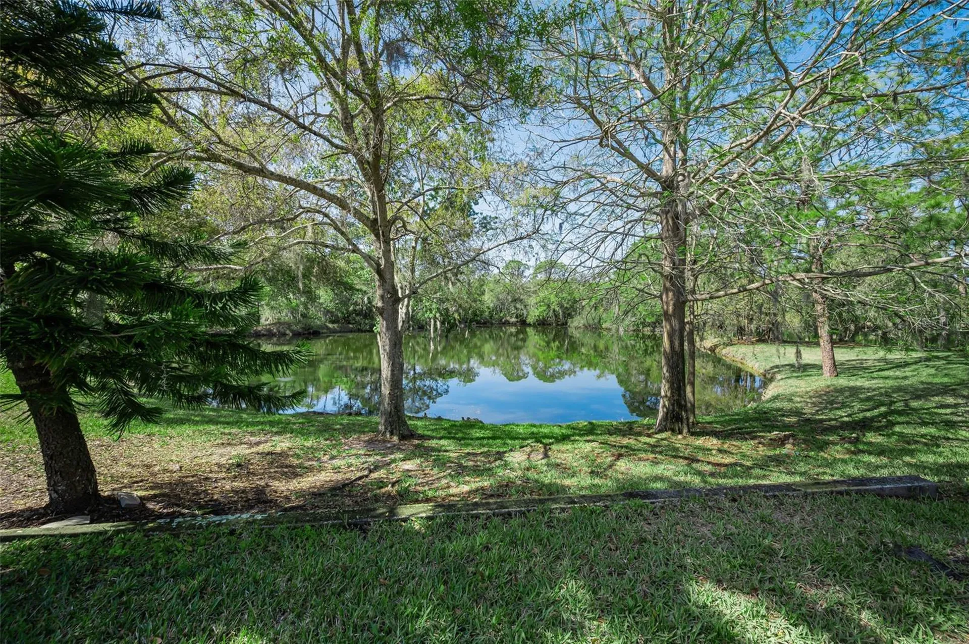 4738 Pebble Brook Drive Oldsmar FL 34677