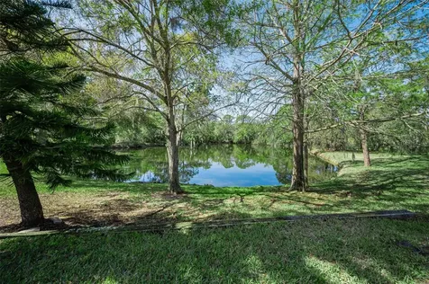 4738 Pebble Brook Drive Oldsmar FL 34677