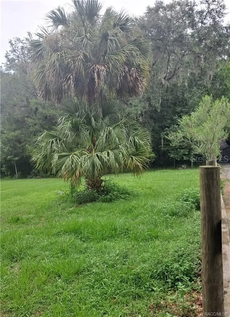 130TH Street Belleview FL 34420