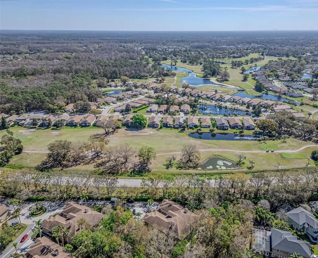 4266 Preserve Place Palm Harbor FL 34685