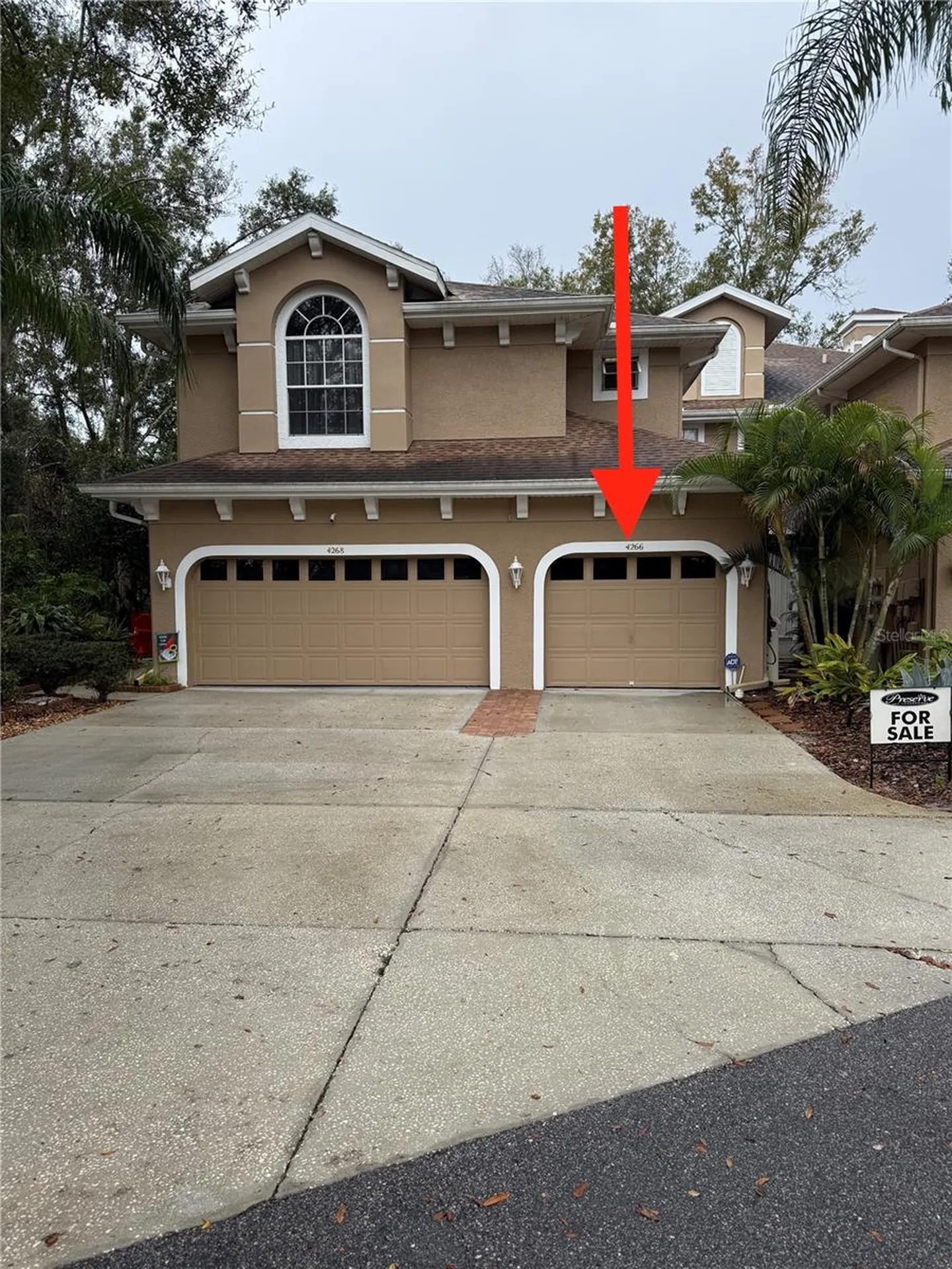 4266 Preserve Place Palm Harbor FL 34685