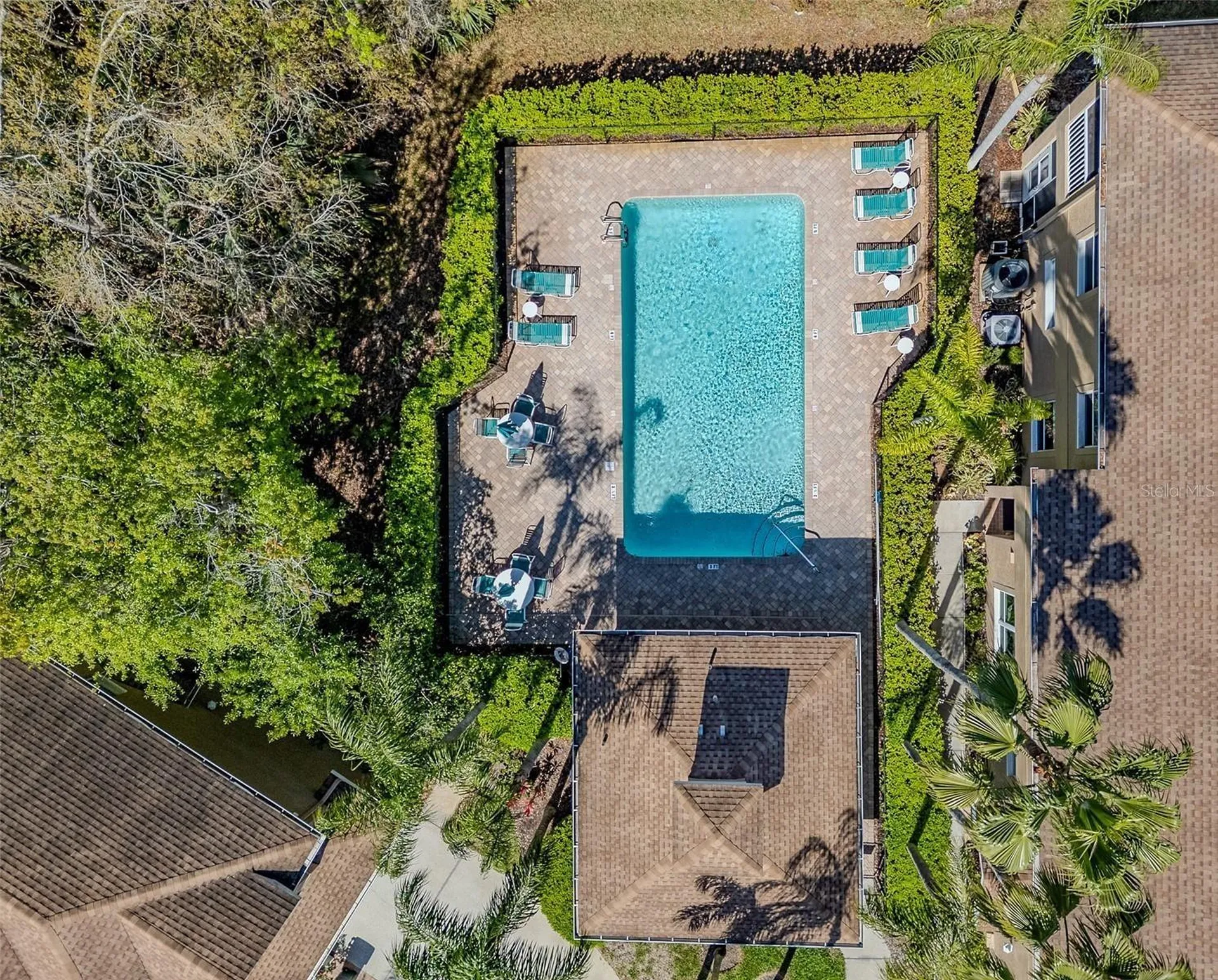 4266 Preserve Place Palm Harbor FL 34685