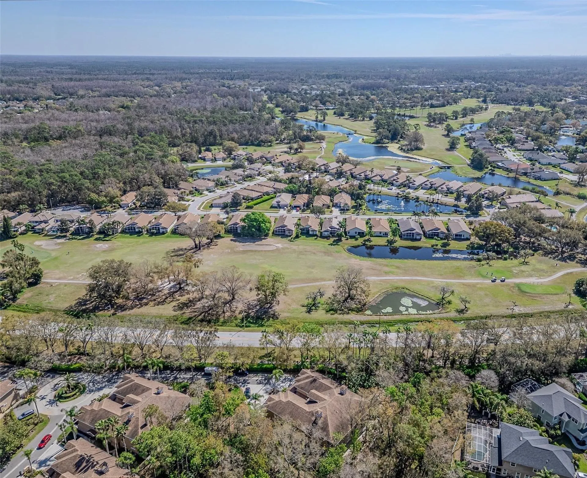 4266 Preserve Place Palm Harbor FL 34685