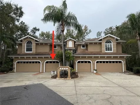 4266 Preserve Place Palm Harbor FL 34685