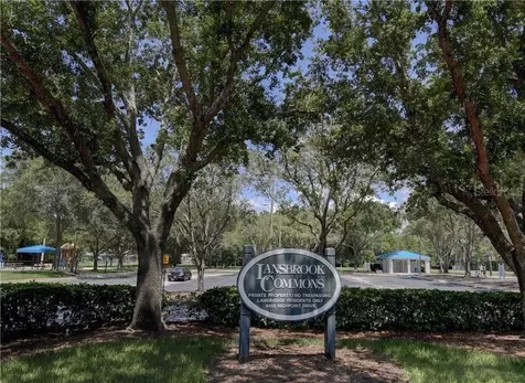 4266 Preserve Place Palm Harbor FL 34685