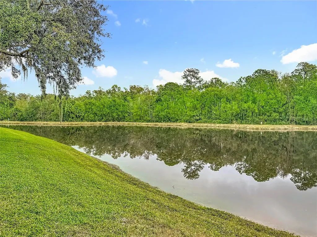 8521 Bramwell Way Tampa FL 33647