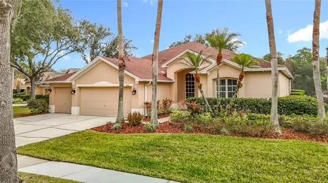 8521 Bramwell Way Tampa FL 33647