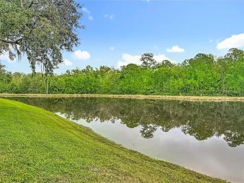 8521 Bramwell Way Tampa FL 33647