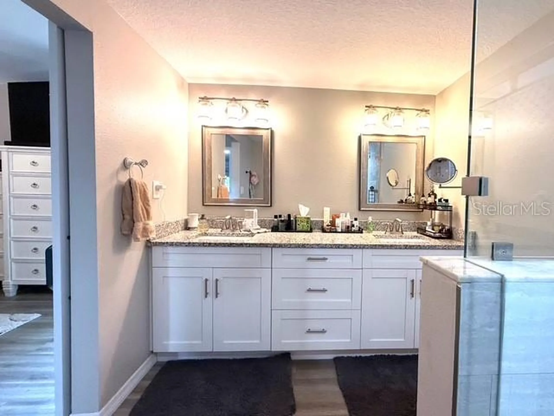 175 N Saint Thomas Circle Apollo Beach FL 33572