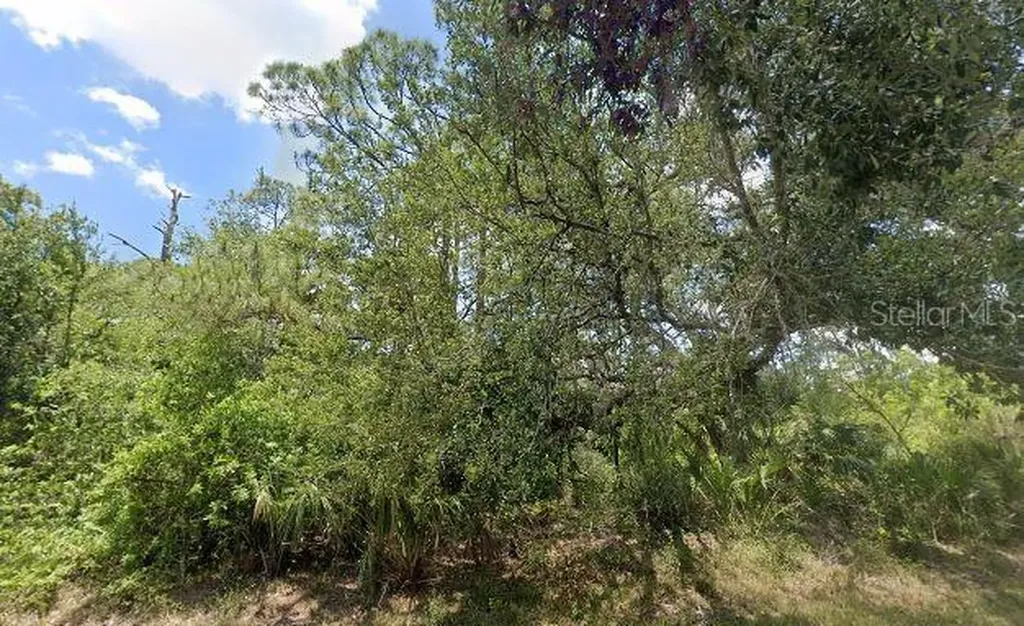1805 Jefferson Avenue Lehigh Acres FL 33972