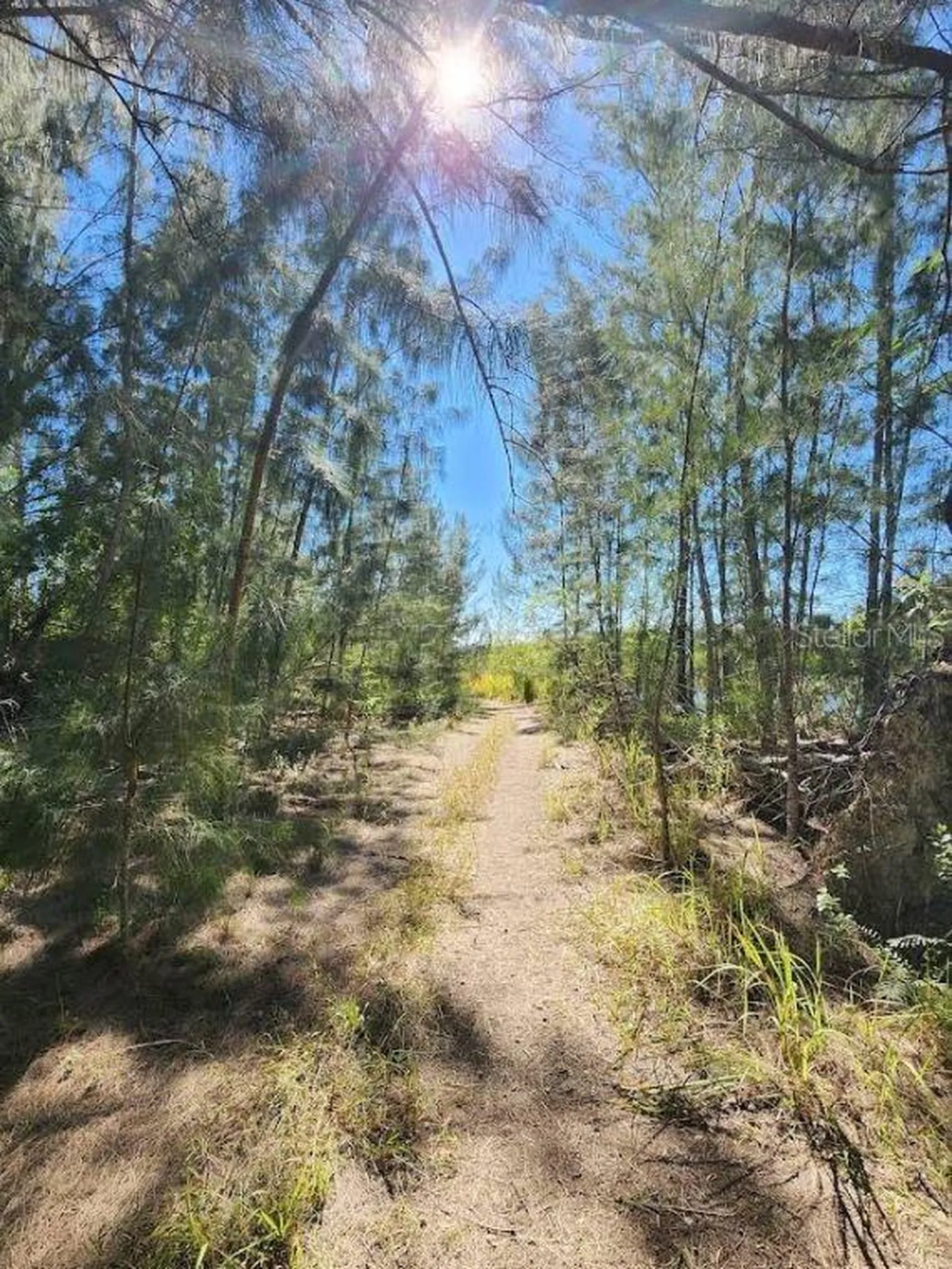 1805 Jefferson Avenue Lehigh Acres FL 33972