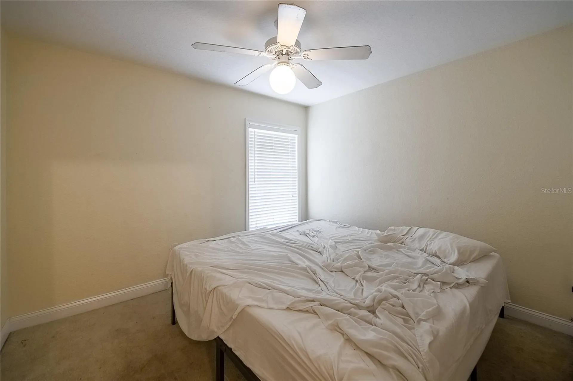 7436 Loblolly Avenue Lakeland FL 33810