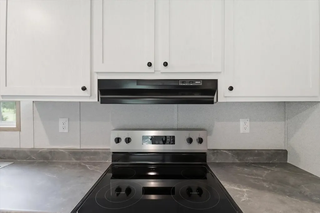 11975 NE 227th Place Fort Mc Coy FL 32134