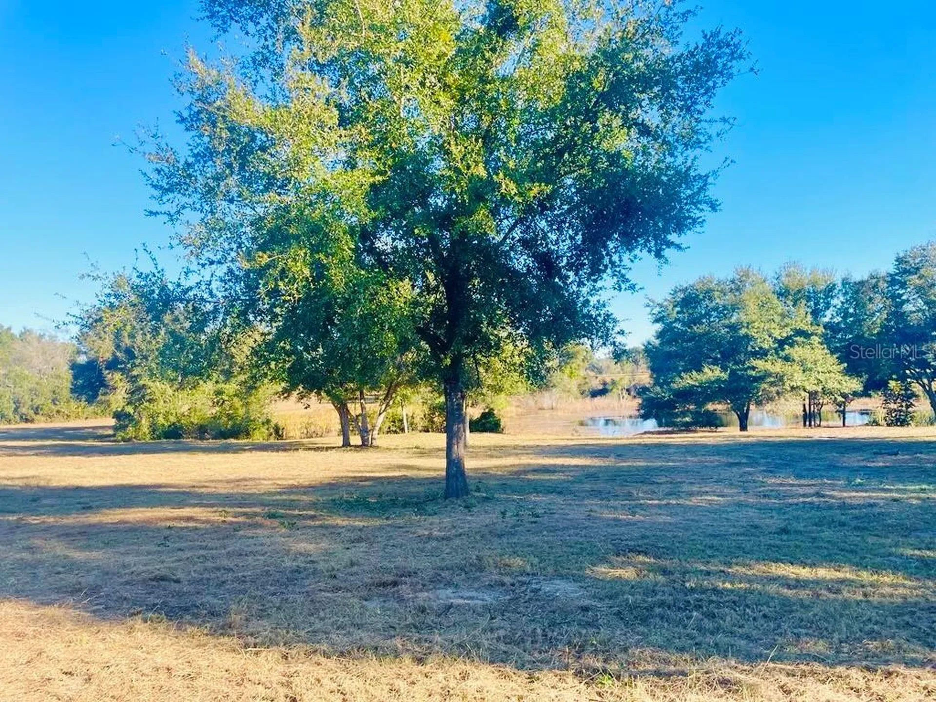 Hunters Trace Lane Clermont FL 34715