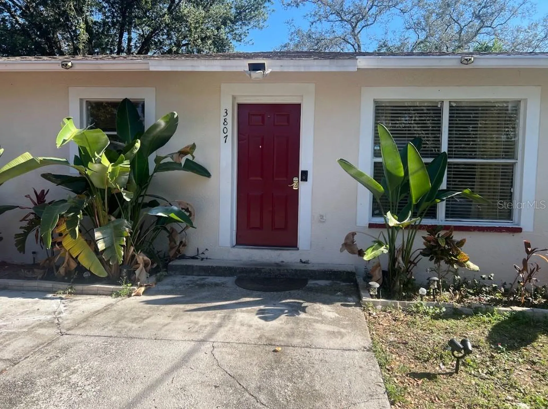 3807 N Garrison Street Tampa FL 33619