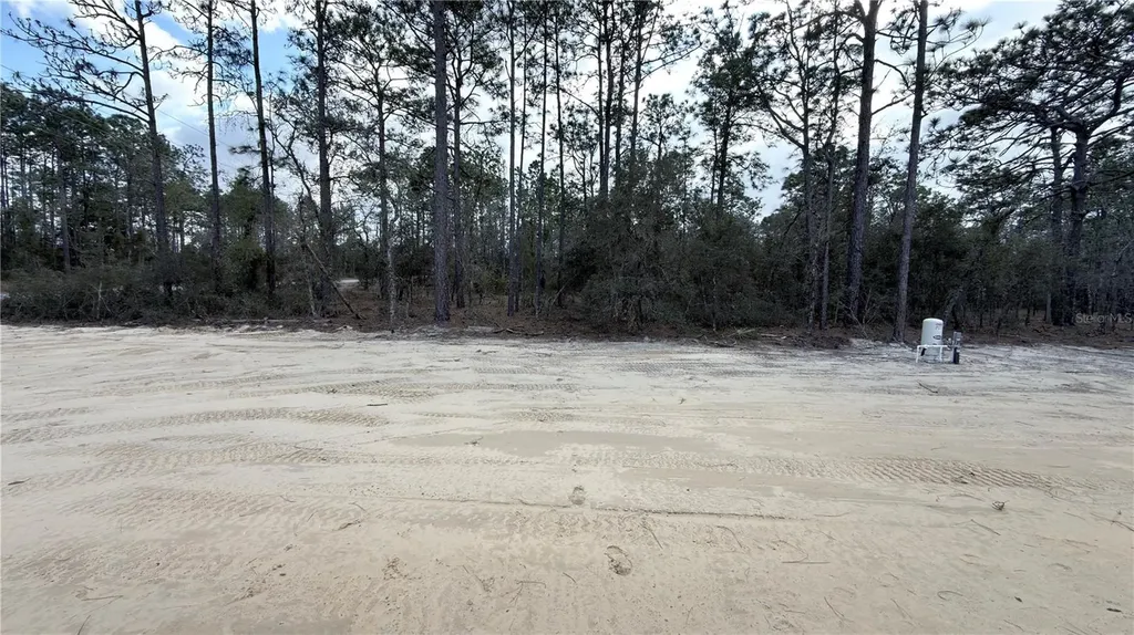 24810 SW Woodland Avenue Dunnellon FL 34431