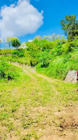 14 Route Coamo PR 00769