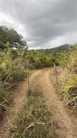 14 Route Coamo PR 00769