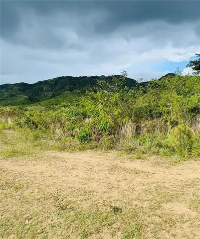 14 Route Coamo PR 00769