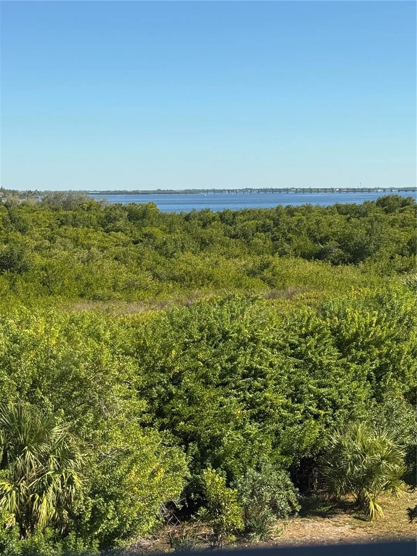 23465 Harborview Road Punta Gorda FL 33980
