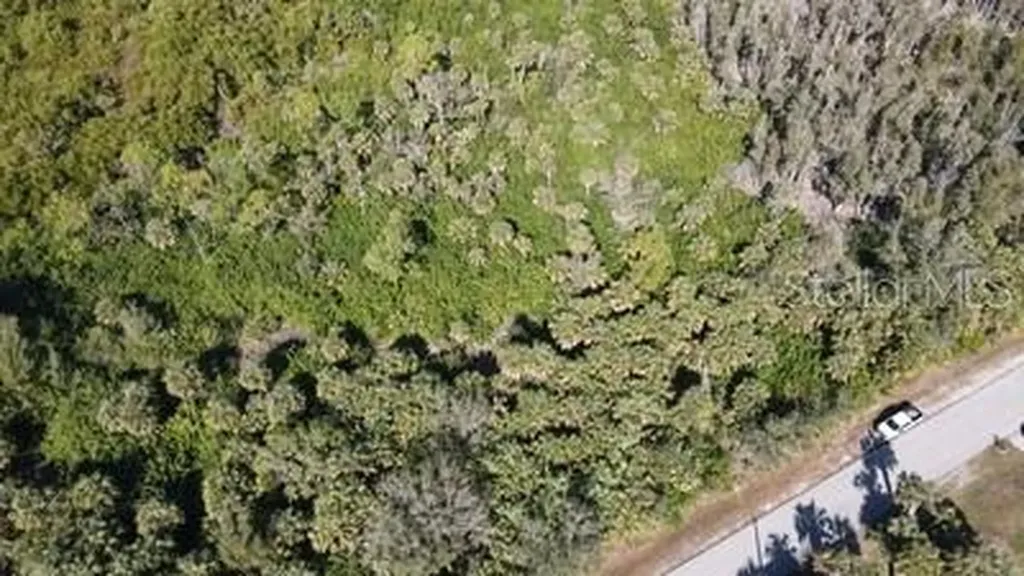 Wychewood Drive Punta Gorda FL 33950