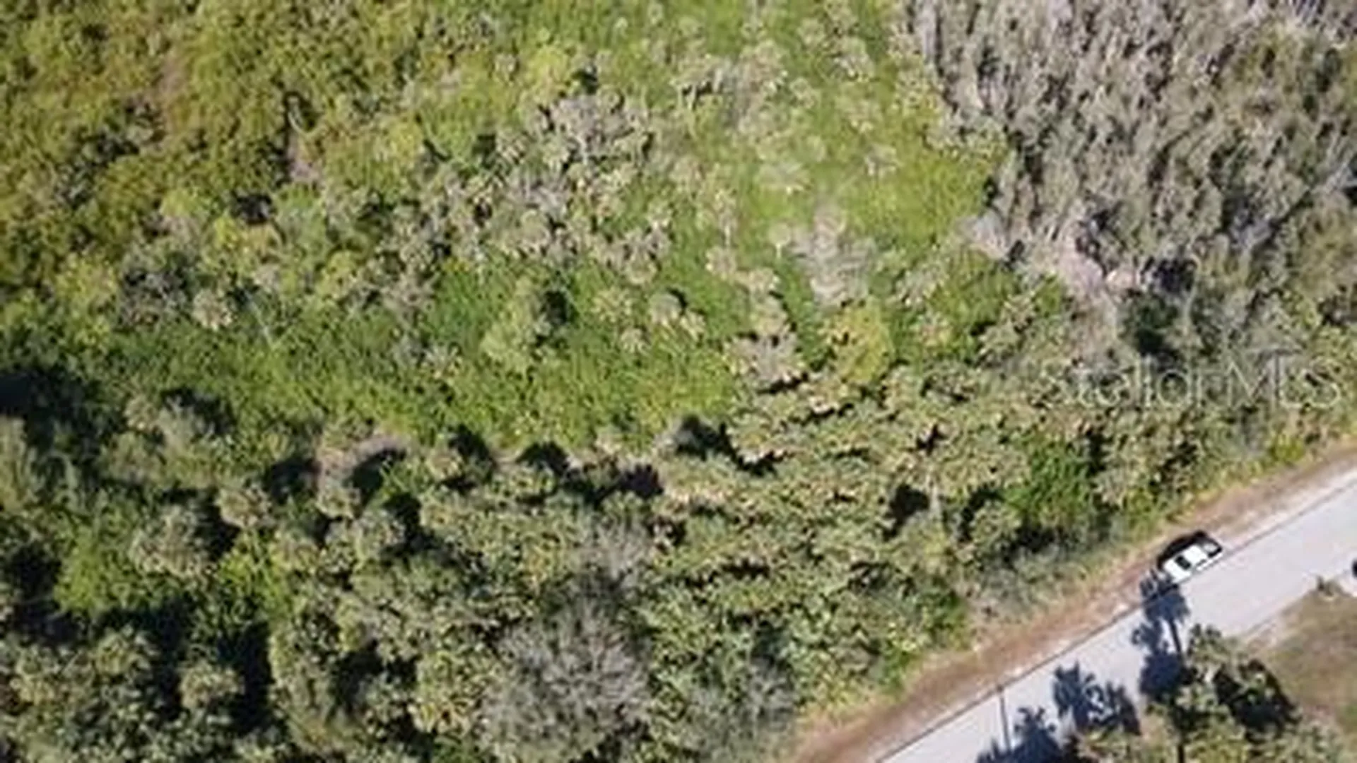 Wychewood Drive Punta Gorda FL 33950