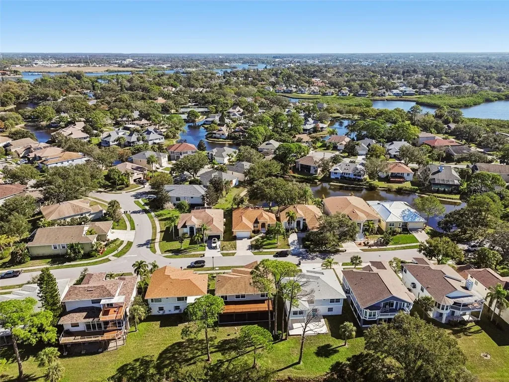 1059 S Pointe Alexis Drive Tarpon Springs FL 34689