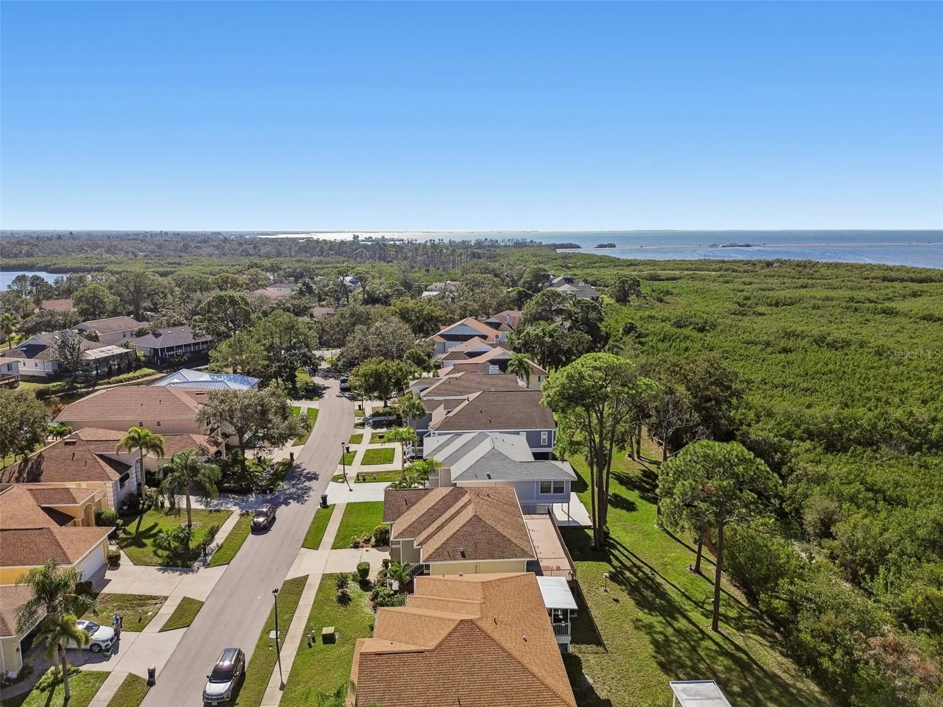 1059 S Pointe Alexis Drive Tarpon Springs FL 34689