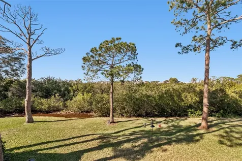 1059 S Pointe Alexis Drive Tarpon Springs FL 34689