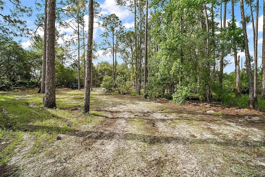 41513 Aspen Street Eustis FL 32736