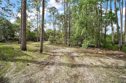 41513 Aspen Street Eustis FL 32736