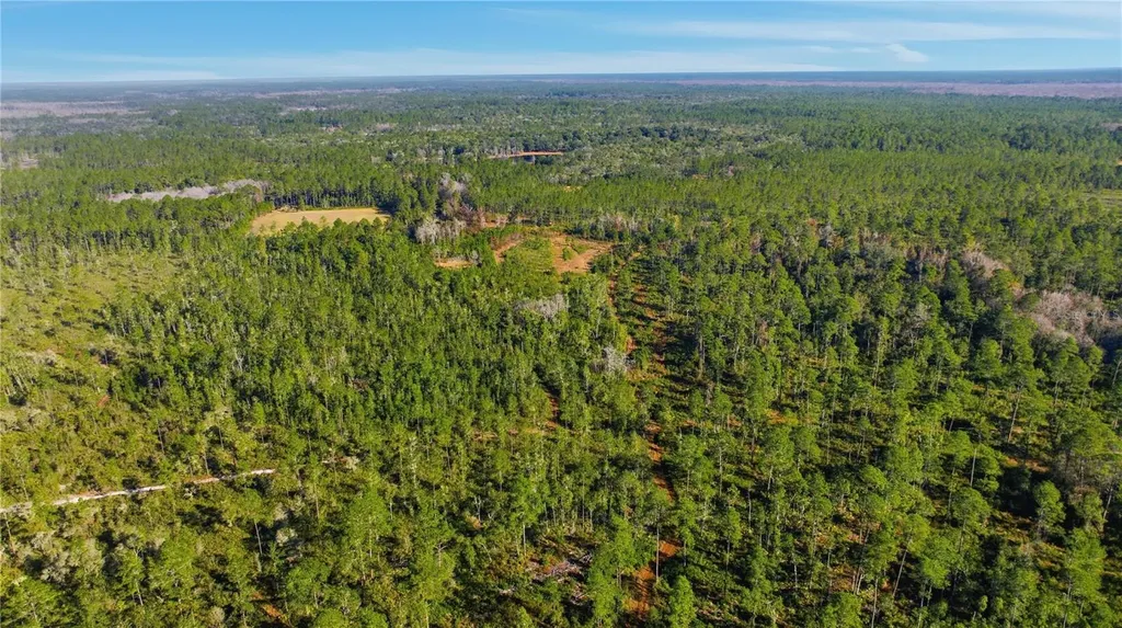 Tbd (Lot 6) NE 115th Lane Road Fort Mc Coy FL 32134