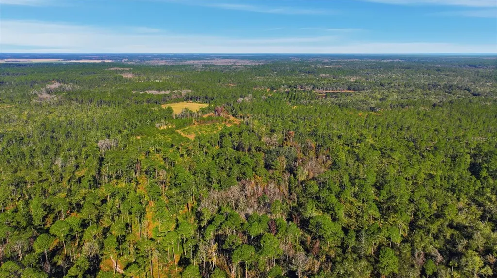 Tbd (Lot 6) NE 115th Lane Road Fort Mc Coy FL 32134