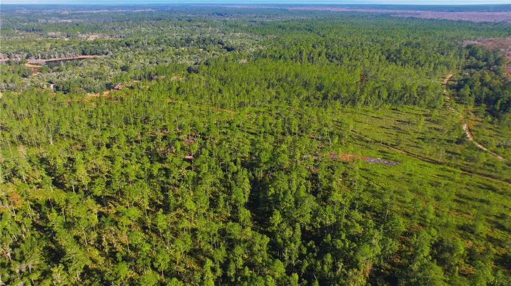 Tbd (Lot 6) NE 115th Lane Road Fort Mc Coy FL 32134