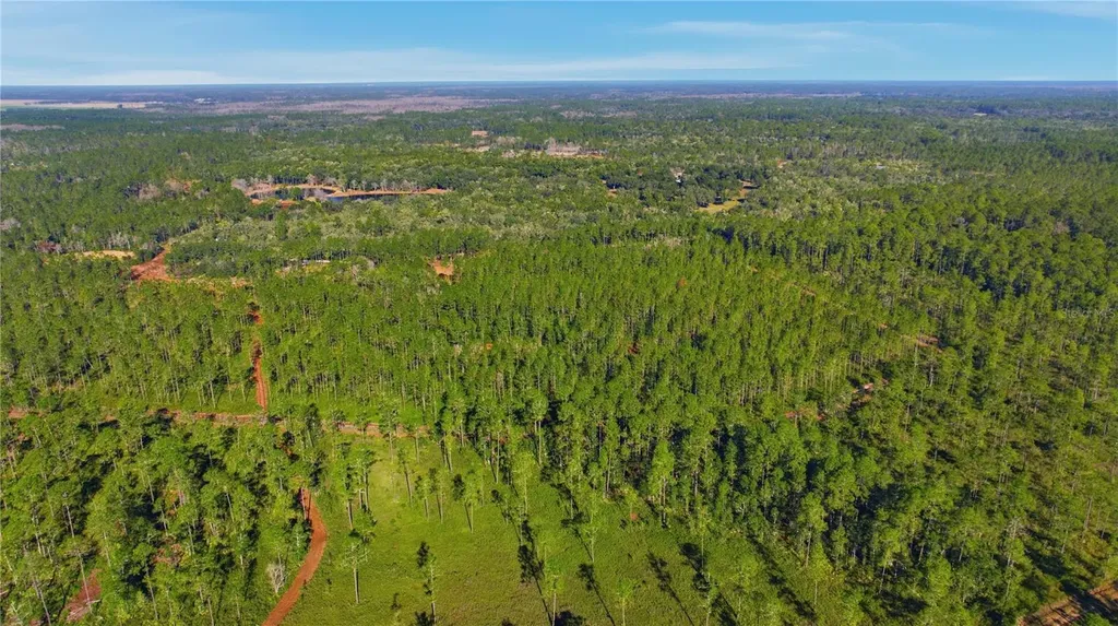 Tbd (Lot 6) NE 115th Lane Road Fort Mc Coy FL 32134