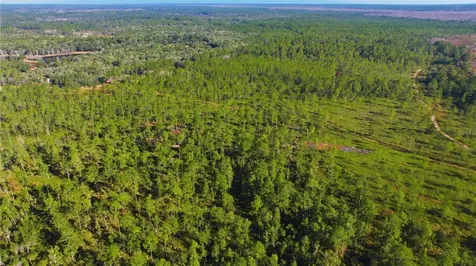 Tbd (Lot 6) NE 115th Lane Road Fort Mc Coy FL 32134