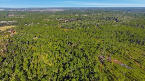 Tbd (Lot 6) NE 115th Lane Road Fort Mc Coy FL 32134