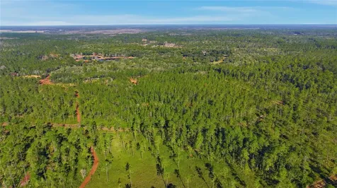 Tbd (Lot 6) NE 115th Lane Road Fort Mc Coy FL 32134