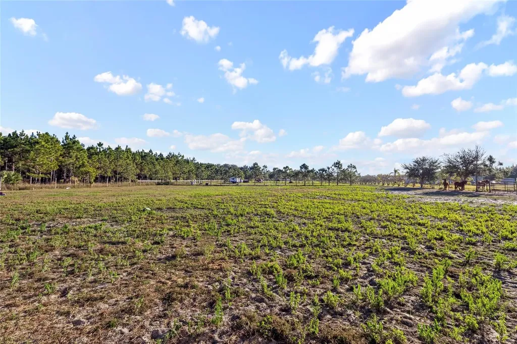 18121 Bethlehem Road Lithia FL 33547